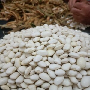 Piyazlık İri Boy Kuru Fasulye 500 gr İLAÇSIZ ÜRETİLMİŞTİR